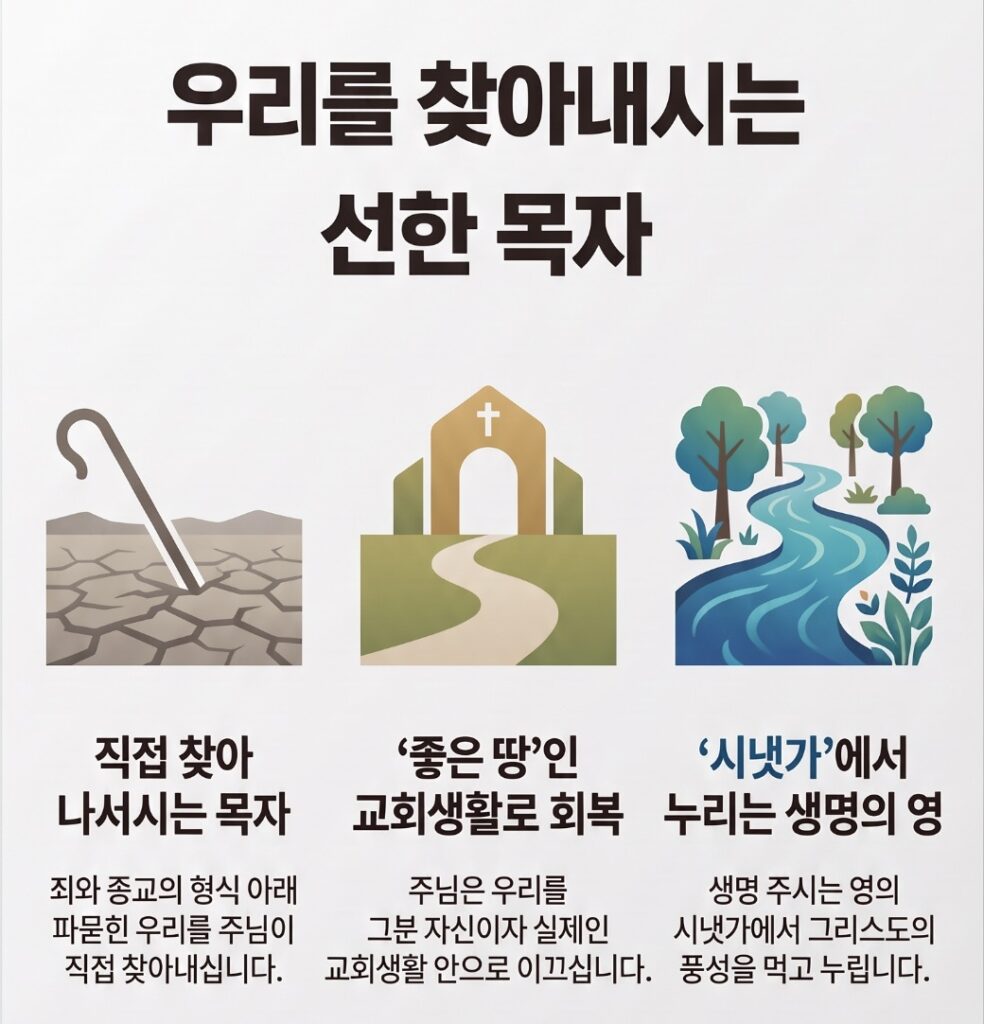 에스겔 34장 목자 일러스트
